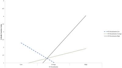 School ethnic-racial socialization and critical action among Black youth